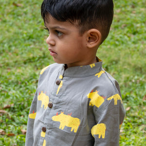 ' A Crash of Rhinoceros' Casual Kurta