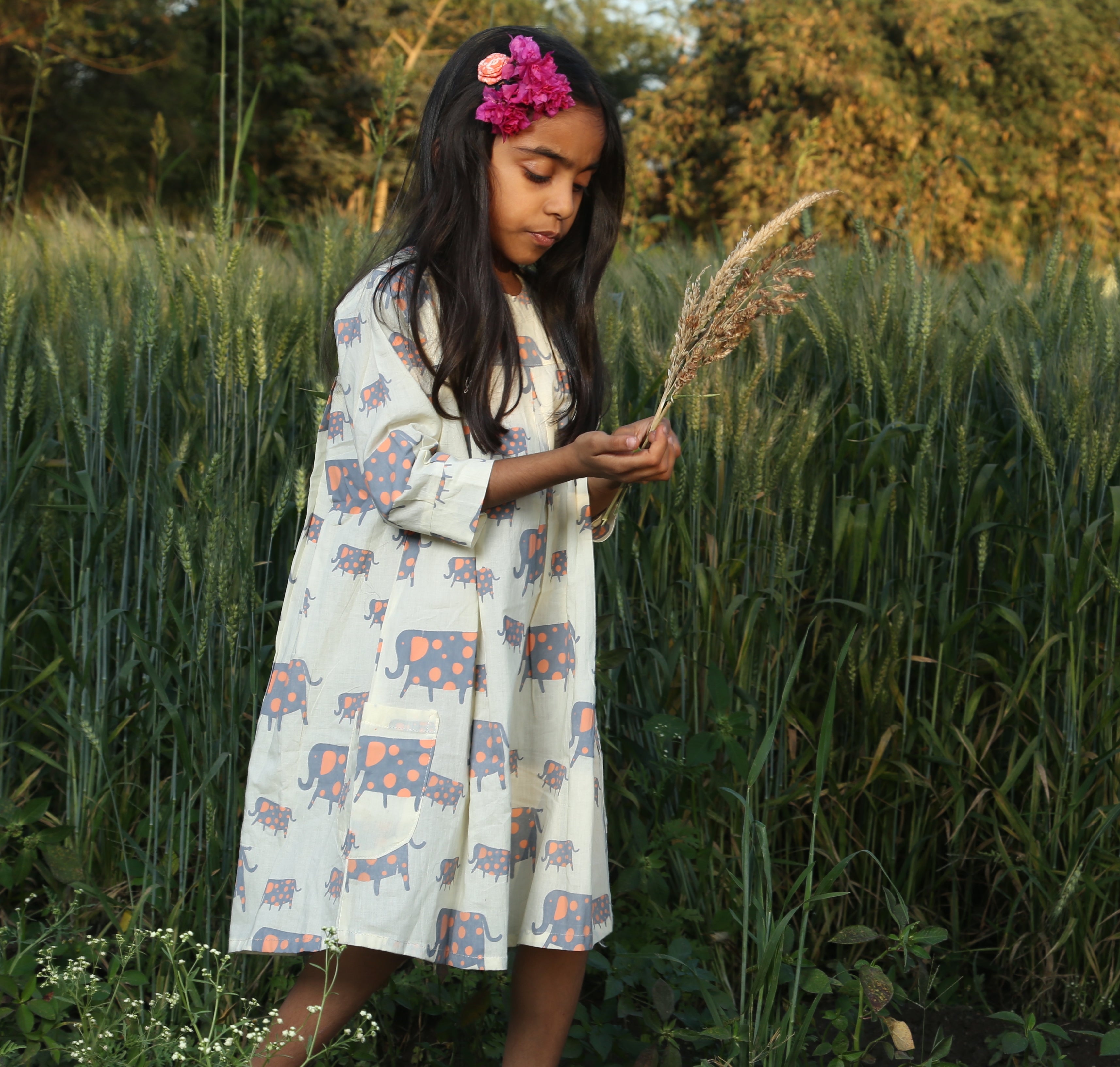 ‘A Parade of Elephants’ Dress with pockets