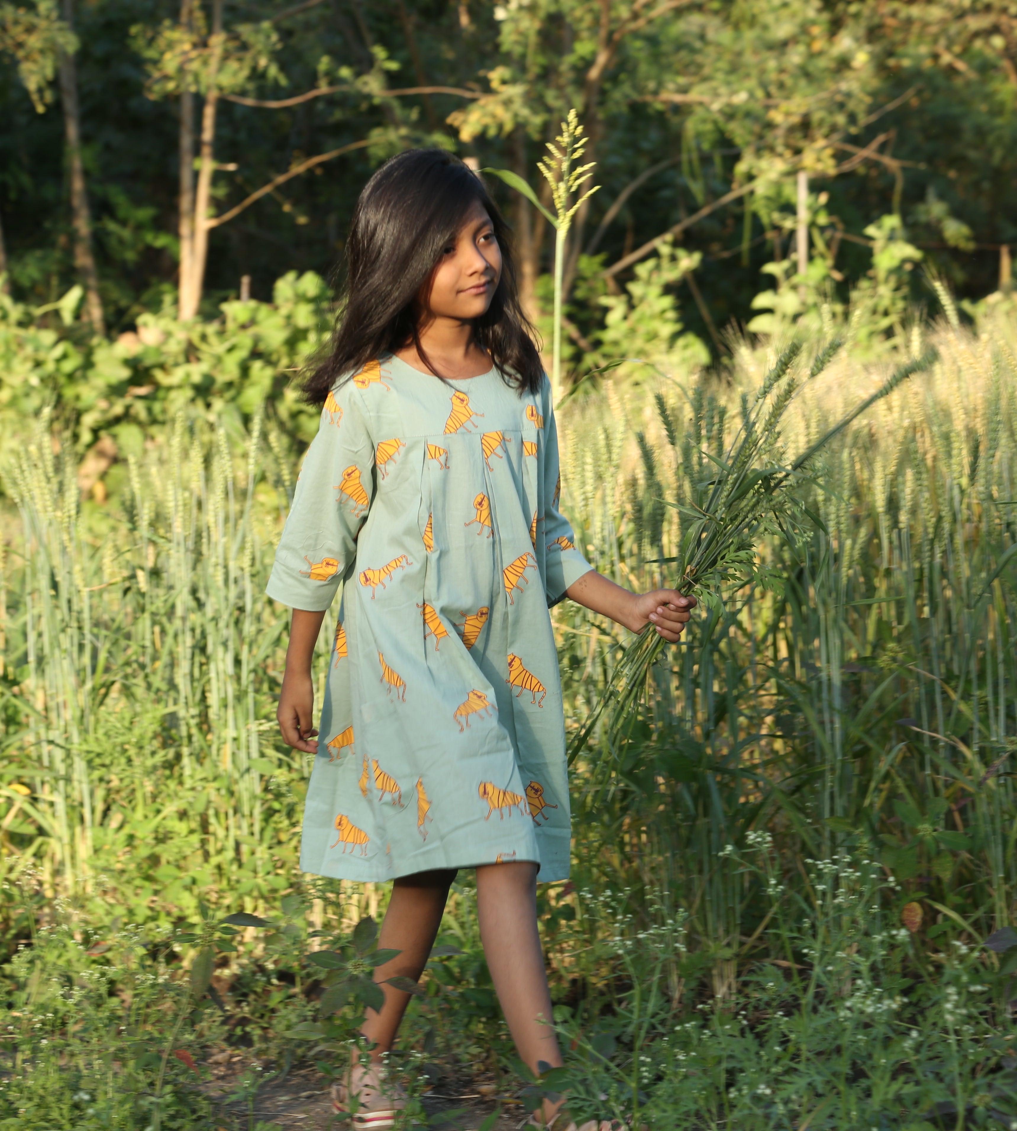 ‘An Ambush of Tigers’ Dress with pockets